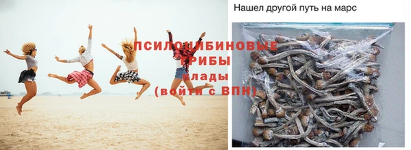 PSILOCYBIN Киреевск