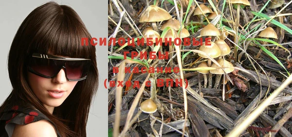 PSILOCYBIN Киреевск