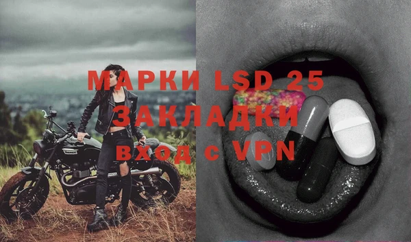 PSILOCYBIN Киреевск