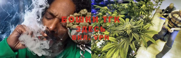 PSILOCYBIN Киреевск