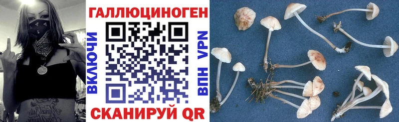Псилоцибиновые грибы мухоморы  Купить закладки  Белая Холуница 